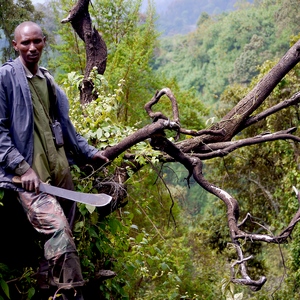 Un homme noir utilise une machette pour couper du bois dans la brousse - Rwanda  - collection de photos clin d'oeil, catégorie portraits